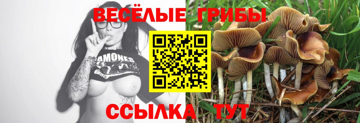 Сочи  Галлюциногенные грибы GOLDEN TEACHER  закладка  Вход с VPN  Галлюциногенные грибы прущие грибы 